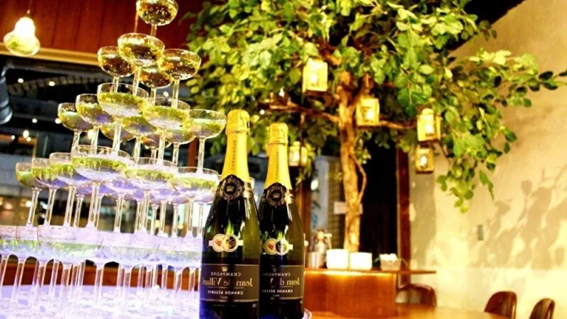 ご予算で選べる豊富な飲み放題コース！
渋谷の昼飲み貸切は「渋谷ガーデンルーム」におまかせください！
